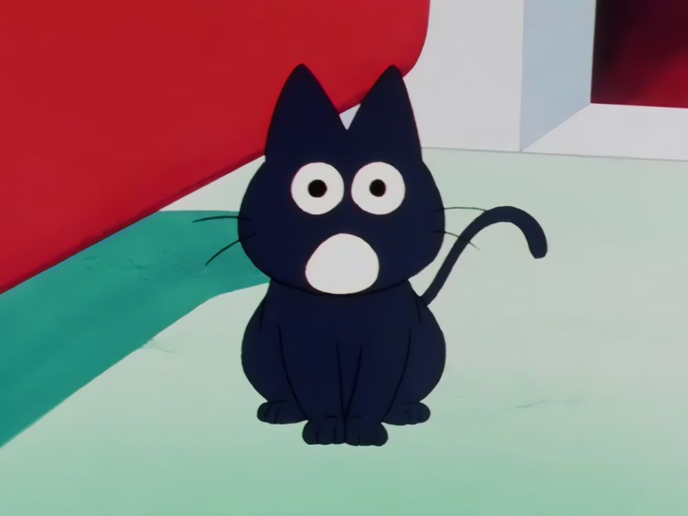 Screenshot of a black cat with its mouth open in surprise.